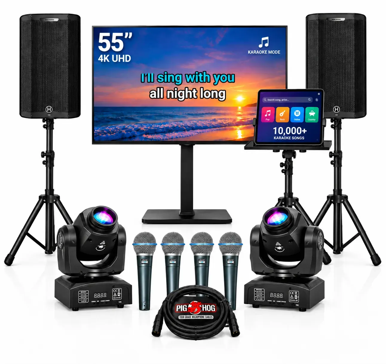 Karaoke 2: 2 Harbinger V4415 speakers on stands, 5-in-1 DJ lighting system with its stand, 55-inch TV on a mobile stand · iPad with 10,000+ songs